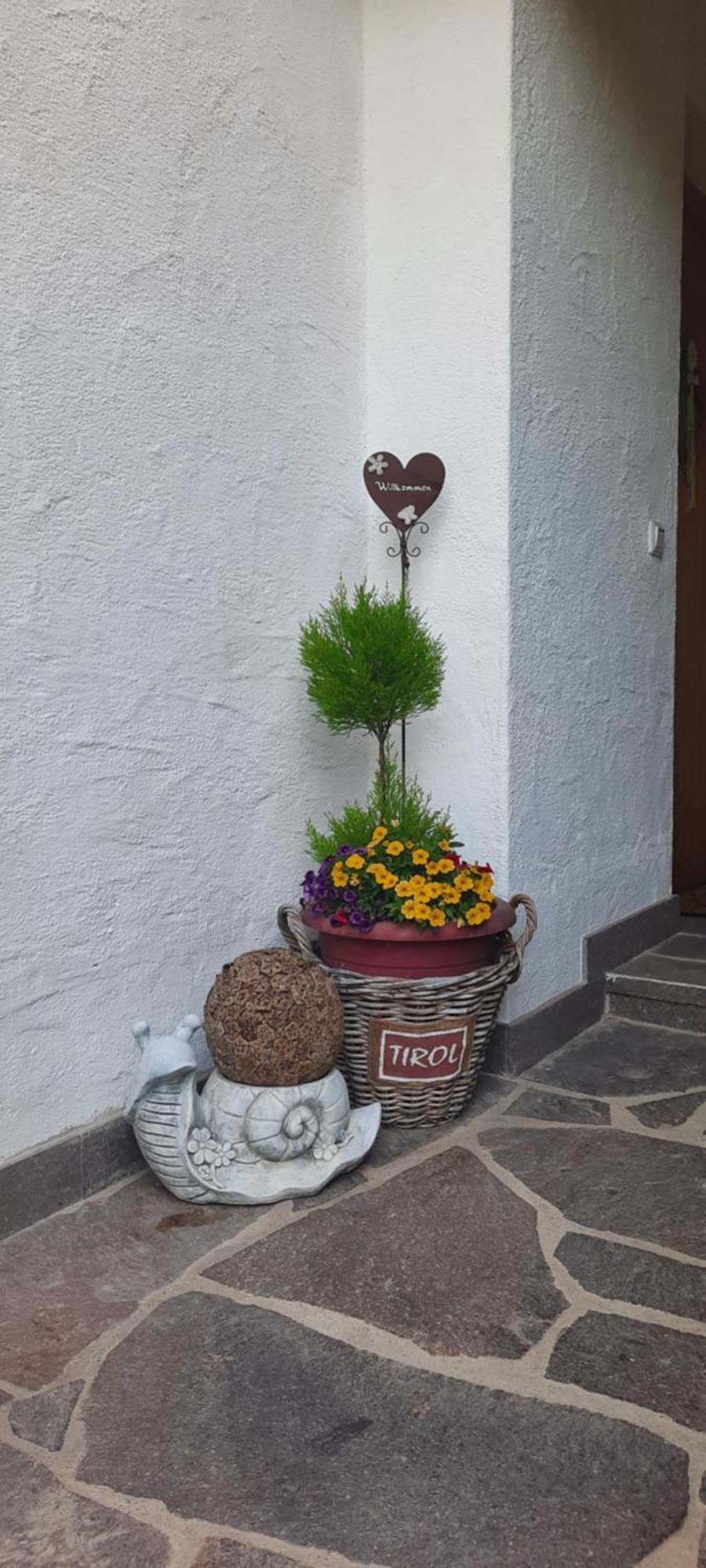 Appartement Margreiter Niederau Exteriör bild